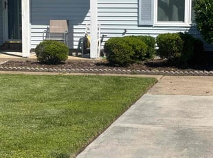Bush Trimming by Casey Moseley for Carol S. in Virginia Beach, VA