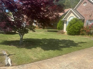 Rae G.'s Lawn Mowing service result