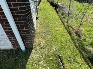 Clarence J.'s Lawn Mowing service result