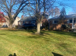 Leaf Removal by Sean Spadafore for Adrian B. in Clinton Township, MI