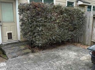 Bush Trimming by Austin Farley for Ross B. in Spring, TX