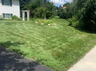 Nixon A.'s Lawn Mowing service result
