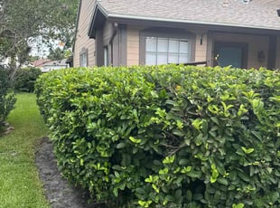 Bush Trimming by Christopher Oropeza for Abby L. in Longwood, FL