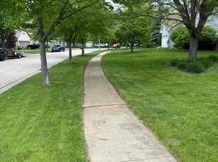 August D.'s Lawn Maintenance service result