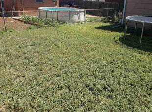 Cleanups by Megan Hansen for Mazelle K. in Thornton, CO