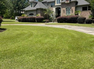 Bush Trimming by James Sanders for Nathan E. in Irmo, SC