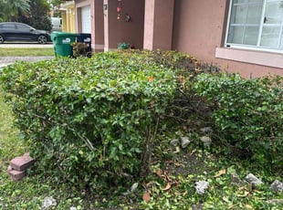 Bush Trimming by Delroy Lawrence for Lourdes D. in Miami, FL