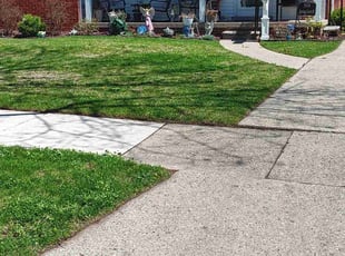 Jacqueline P.'s Lawn Service service result