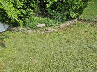 Bush Trimming by Theophilus Frazier for Valerie L. in Peoria, IL