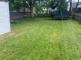 Jerissa C.'s Lawn Care service result