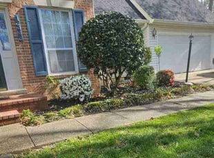 Marieta D.'s Grass Cutting service result