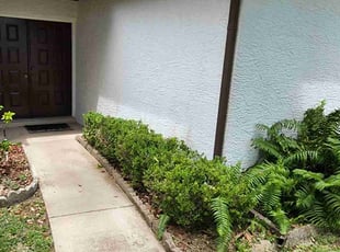 Bush Trimming by Michael Glatfelter for Gina F. in Spring Hill, FL