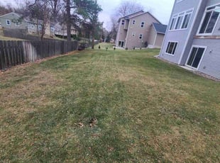 Leaf Removal by Natatia Frame for Jianli L. in Minneapolis, MN