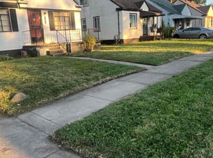 Jerry P.'s Lawn Mowing service result