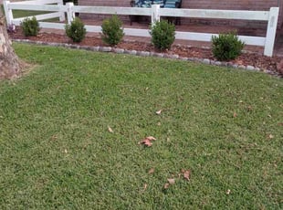 Weeding by Terrence Wilburn for Jason D. in League City, TX