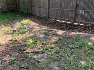 Leaf Removal by Abigail Soriano for Cathleen C. in Farmingdale, NJ