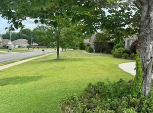 Tyrone T.'s Yard Cutting service result