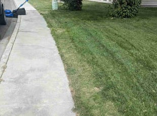 Grace B.'s Grass Cutting service result