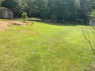 Damon T.'s Lawn Care service result