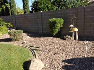 Bush Trimming by Toni Vaughn for Patti G. in Glendale, AZ