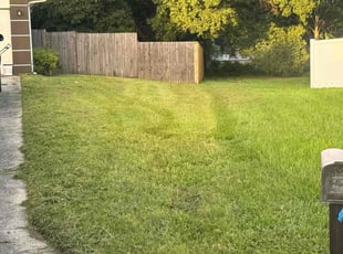 Danielle R.'s Lawn Service service result