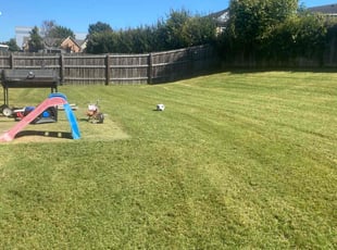 Gladys D.'s Lawn Mowing service result