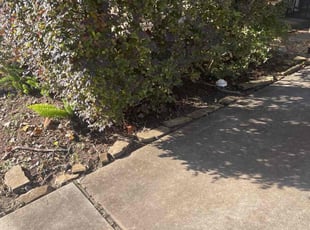 Leaf Removal by Jeff Templeton for Denise M. in Houston, TX