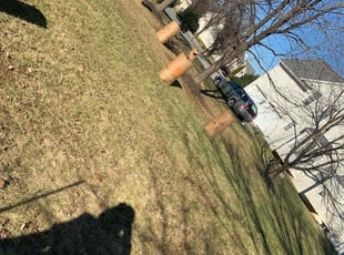 Leaf Removal by Tyler Isaacs for Justin J. in Bowie, MD