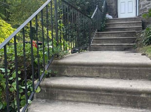 Bush Trimming by Rafael Navedo for Brenda H. in Philadelphia, PA
