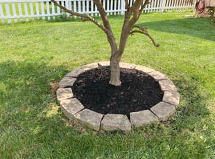Weeding by Angel P. for Rosa l. in Arlington, VA
