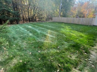 Leaf Removal by Demetrieus Bennett for Mugisha D. in South Euclid, OH