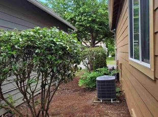 Cleanups by Kenneth Rabbitt for Jacob W. in Lacey, WA