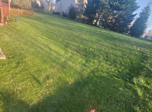 Cleanups by Rose Valle for Hanh T. in Bristow, VA