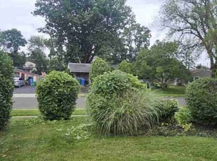 Bush Trimming by Ladarron Black for Rodney S. in Levittown, PA
