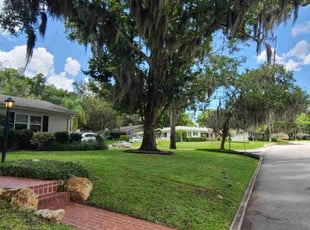 Shawn S.'s Lawn Maintenance service result