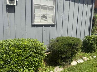 Bush Trimming by Casey Mhire for Edward P. in Lafayette, LA