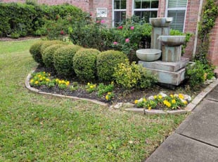 Weeding by Hugo Melgar for Sara H. in Sugar Land, TX