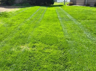 Kevin N.'s Lawn Mowing Service service result