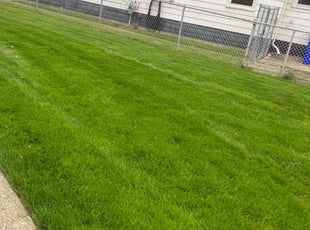 Khamta S.'s Lawn Service service result