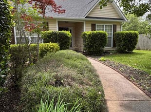 Bush Trimming by Trevor Swain for Jennifer B. in Fletcher, NC