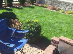 Abbas R.'s Lawn Service service result