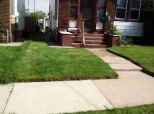 George M.'s Lawn Maintenance service result
