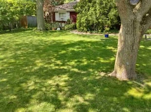 Suzanne R.'s Lawn Care service result
