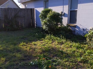 Bush Trimming by Brent Walters for William C. in Lakeland, FL