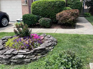 Weeding by Jose M Rodriguez for Amy S. in Alexandria, VA