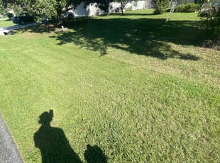 Carlton P.'s Yard Cutting service result