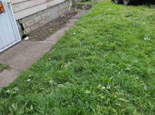 Leaf Removal by Thomas Abney for Martin G. in Akron, OH