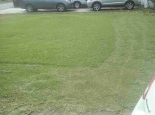 Bush Trimming by Drequan Gregory for Donald M. in Chesapeake, VA