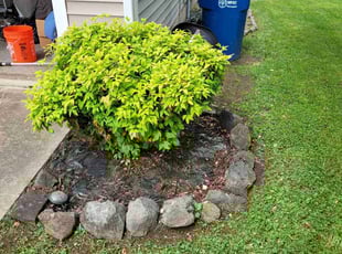 Weeding by Broderick Tillman for Johnny R. in Mount Holly, NC