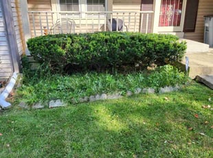 Bush Trimming by James Mckenzie for LaTosha G. in Hyattsville, MD